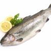 Fische